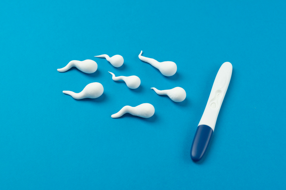 Salute riproduttiva maschile: il percorso decisionale verso la contraccezione permanente