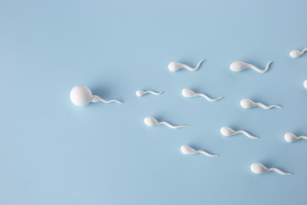 Spermiogramma e altri esami da fare prima della vasectomia